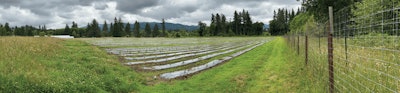 Field1pano Fmt