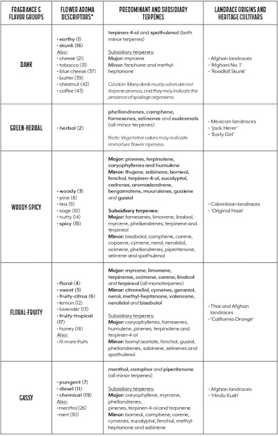 Growing Pains Table Fmt