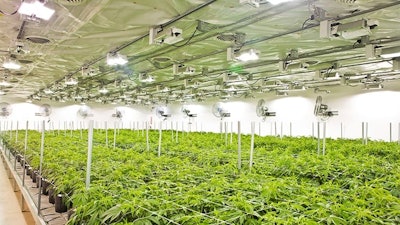 Plants need different proportions of different nutrients as they grow and mature and during key lifecycle stages for growers to get the results they want, including stronger plants, higher yields and improved fruit and flower quality.