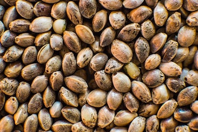 Hempseed