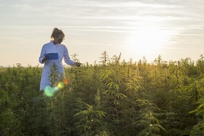 Organic Hempjpg