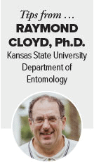 Raymond Cloyd Fmt