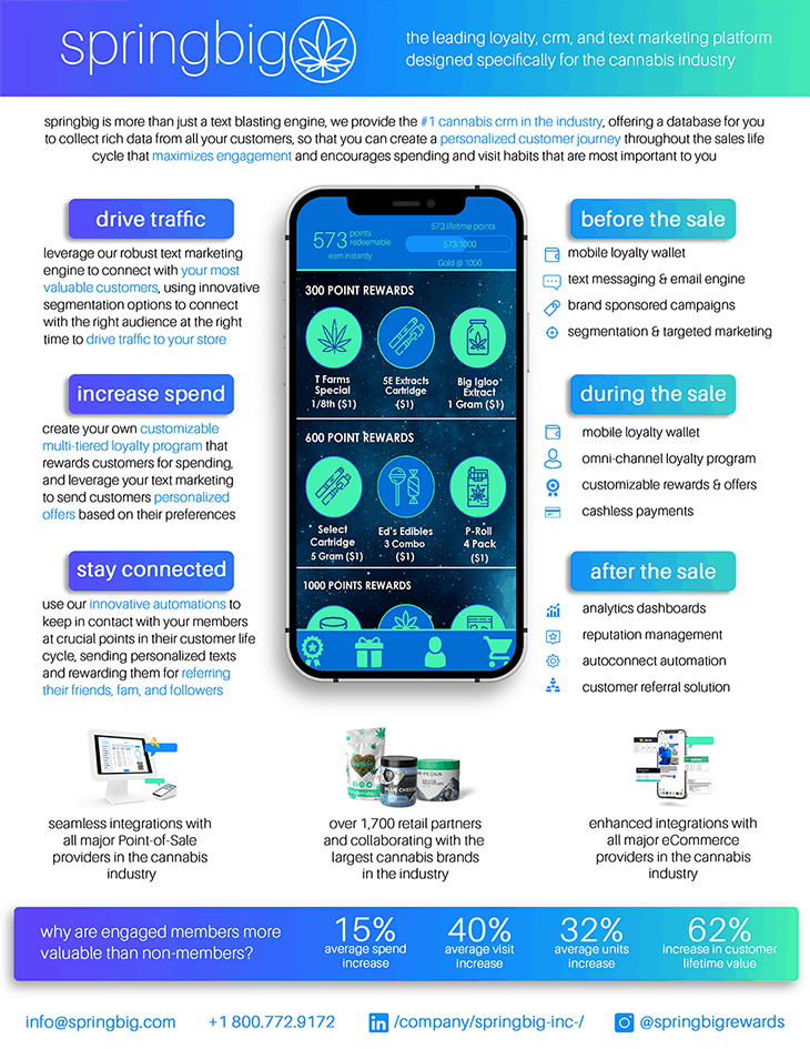 Springbig 1sheet2021