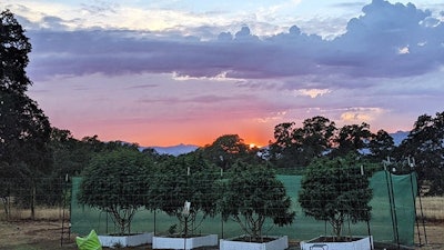 7 Sol Sunset