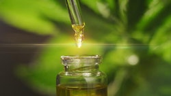 Cbd Adobe Stock251993947