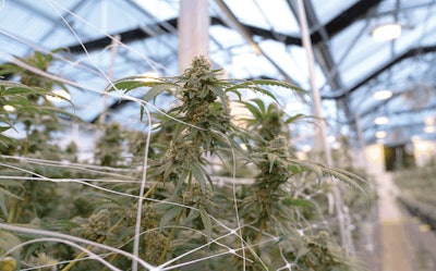 Ghfarm agapoth 11 Fmt