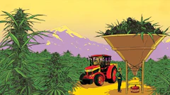 Illustration11