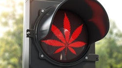 Red Light Hemp Adobe Stock