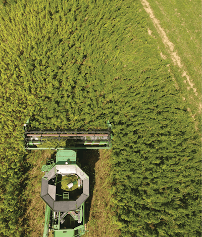 160825acp373mb050 Fmt