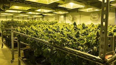 Indoor grow