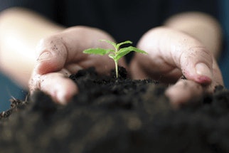 Adobe Stock 211947572 Hands Hlding Cannabis Fmt