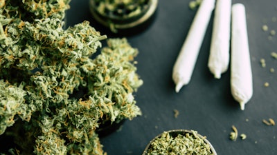 Cannabis