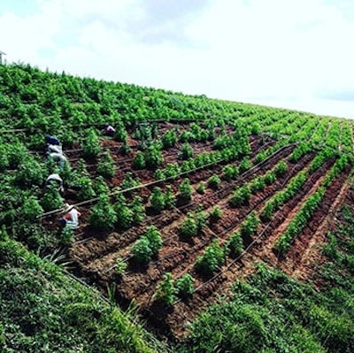 Colombia Flora growth 350
