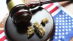 Court Ruling Adobe Stock259058556