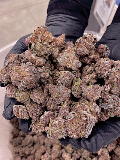Handful Of Buds
