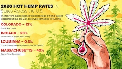 Hot Hemp