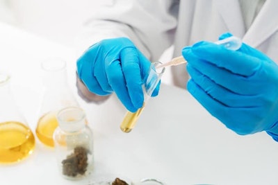 Thc Testing Adobe Stock216022848