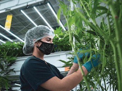 2021 2 24 Las Vegas Nv Grow (1) Fmt