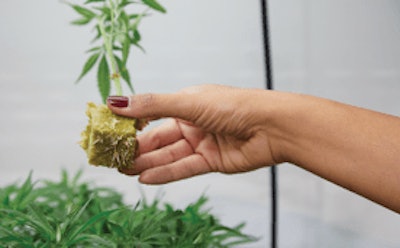 2021 0526 The Giving Tree Lilach 0205 Fmt