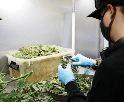 2021 0526 The Giving Tree Lilach 0221 Fmt