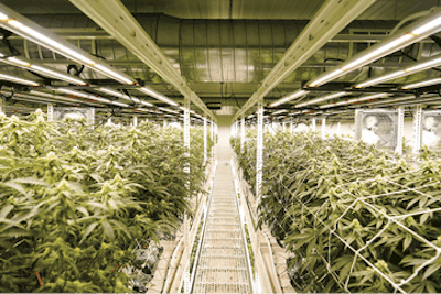 2nd Level Mid Flower (1) Fmt