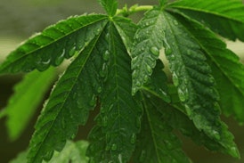 Adobe Stock 436954014 Fmt