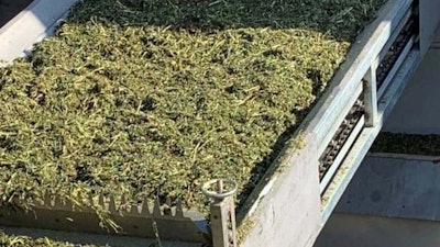 Ag 4