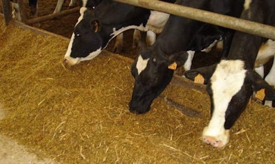 Animalfeed