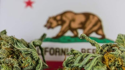 Cali Cannabis736x414