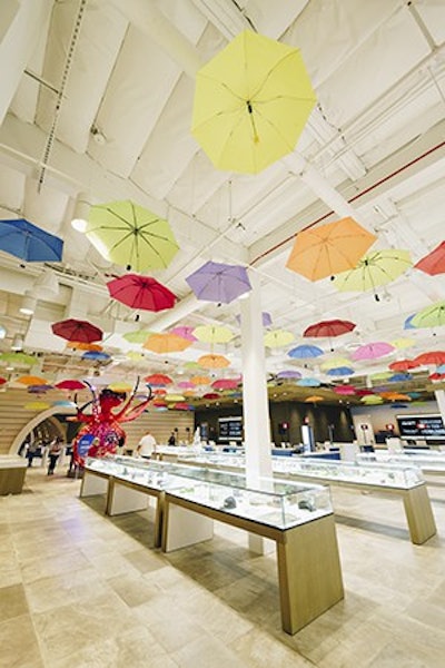 Dsc05705 Umbrellas Resized