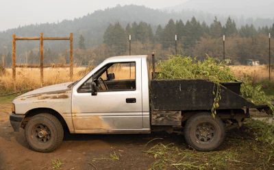 East Fork Cultivars Harvest 2020 Other 003 Fmt