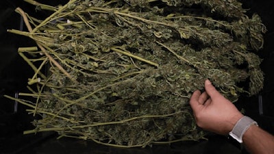 Eastforkcultivars Us Eharvest 2020other009fmt