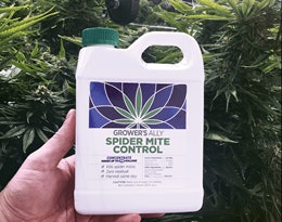 Growers Ally Spider Mite Control Fmt