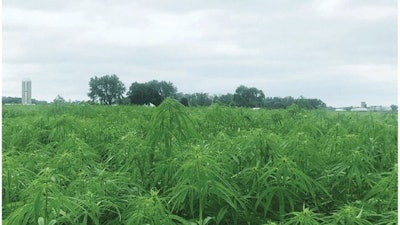 Hempstead Us Efmtcopy