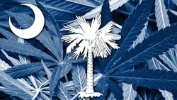 S Ccannabis Adobe Stock79492117736x414