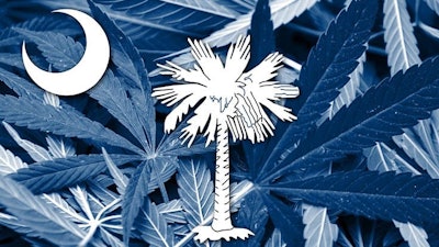 S Ccannabis Adobe Stock79492117736x414
