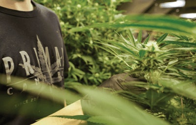 0b926bec566afc81ae4b3e0c1e03d936 Fmt