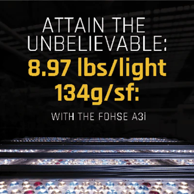 A3i 03 Fmt