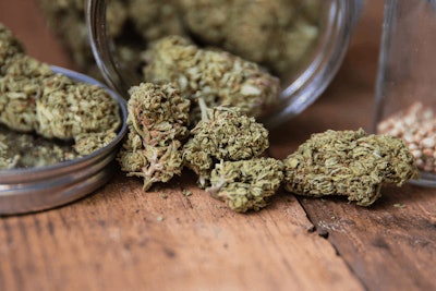 Adobe Stock 241647999 Cannabis Bud Flower Fmt