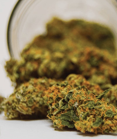 Adobe Stock 306719041 Fmt