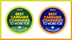 Best Cannabis Companies Top Storylogos
