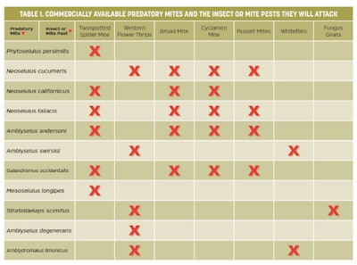 Bug Chart Fmt