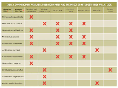 Bug Chart Fmt