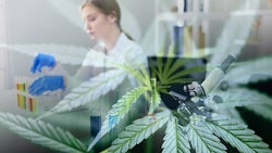 Colo Pesticide Testing Adobe Stock327455976736x414