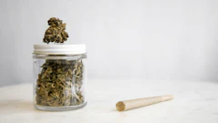 Cannabis Dispensary