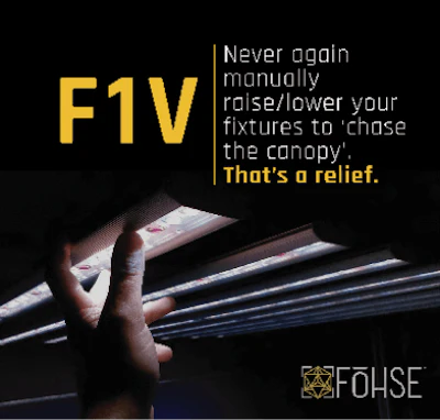 F1v 01 Fmt