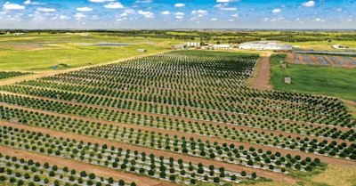 F896da6240a5e05660329c4ea70d569e Fmt