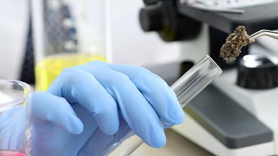 Hemp Pesticide Test Adobe Stock3236025511201