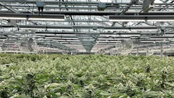 Lightshadegreenhouseunder Vypr Resized