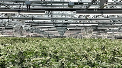Lightshadegreenhouseunder Vypr Resized